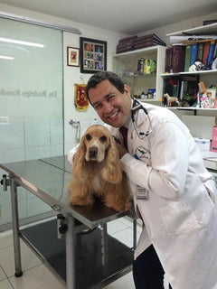 Dr. Whitfield